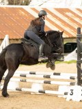 DSC05052