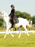 DSC01970