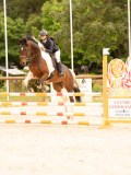 DSC00768 DSC00768