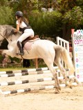 DSC08743 DSC08743