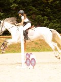 DSC08750 DSC08750