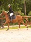 DSC00966 DSC00966