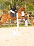 DSC00984