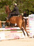 DSC01873 DSC01873