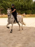 DSC03839 DSC03839