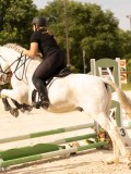 DSC03840 DSC03840