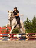 DSC03845 DSC03845