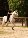 DSC03848 DSC03848
