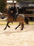 DSC03505 DSC03505