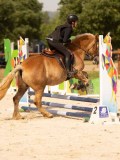 DSC04144 DSC04144