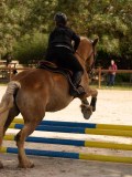 DSC04157 DSC04157