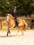 DSC04158 DSC04158