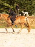 DSC04159 DSC04159