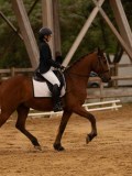 DSC00659 DSC00659
