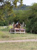IMG_0331 IMG_0331