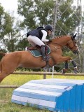 IMG_0336 IMG_0336