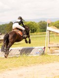 DSC09253 DSC09253