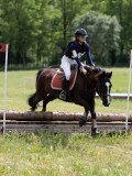 IMG_3943 IMG_3943