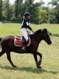 IMG_3944 IMG_3944