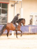 DSC00925 DSC00925