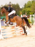DSC00795 DSC00795