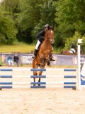 DSC00796 DSC00796