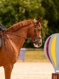 DSC01583 DSC01583
