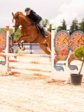 DSC01586 DSC01586