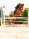 DSC01593 DSC01593