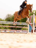 DSC01594 DSC01594