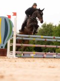 DSC03478 DSC03478