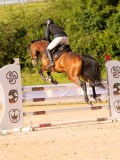 DSC03953 DSC03953