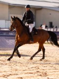 DSC03954 DSC03954