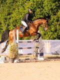 DSC03960 DSC03960