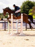 DSC04845 DSC04845