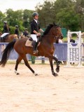 DSC06193 DSC06193