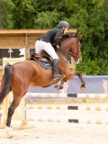 DSC04234 DSC04234