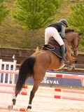DSC05238 DSC05238