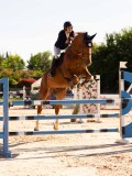 DSC09658 DSC09658