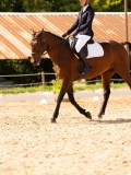 DSC04325 DSC04325