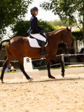 DSC04337 DSC04337