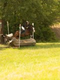DSC09303