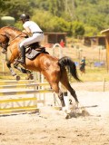 DSC07132 DSC07132