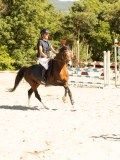 DSC07920 DSC07920