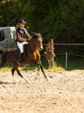 DSC07925 DSC07925