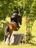 DSC00555 DSC00555
