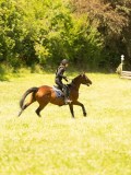 DSC00556 DSC00556