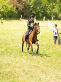 DSC00558 DSC00558