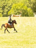 DSC00564 DSC00564