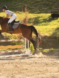 DSC08438 DSC08438